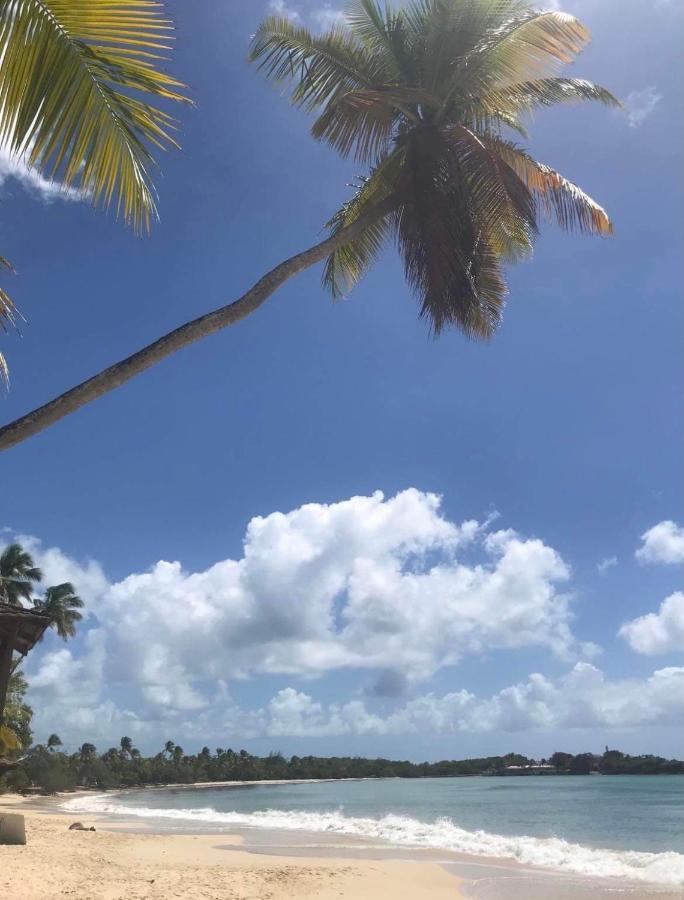 Couleur Caraibes-Cocobeach Martinique Pierre Et Vacances Sainte-Luce Εξωτερικό φωτογραφία