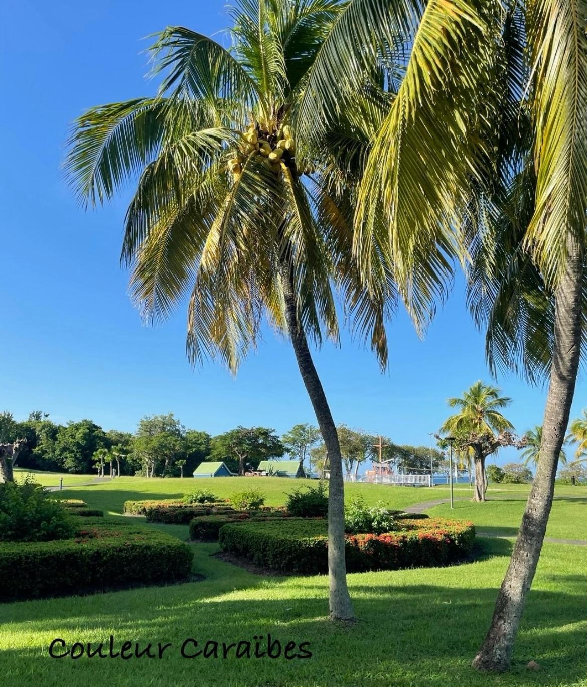 Couleur Caraibes-Cocobeach Martinique Pierre Et Vacances Sainte-Luce Εξωτερικό φωτογραφία