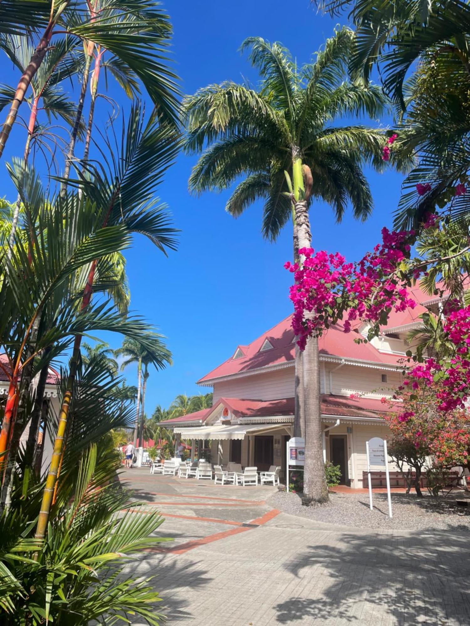 Couleur Caraibes-Cocobeach Martinique Pierre Et Vacances Sainte-Luce Εξωτερικό φωτογραφία