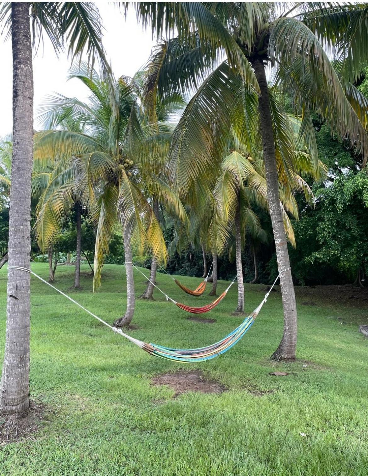 Couleur Caraibes-Cocobeach Martinique Pierre Et Vacances Sainte-Luce Εξωτερικό φωτογραφία