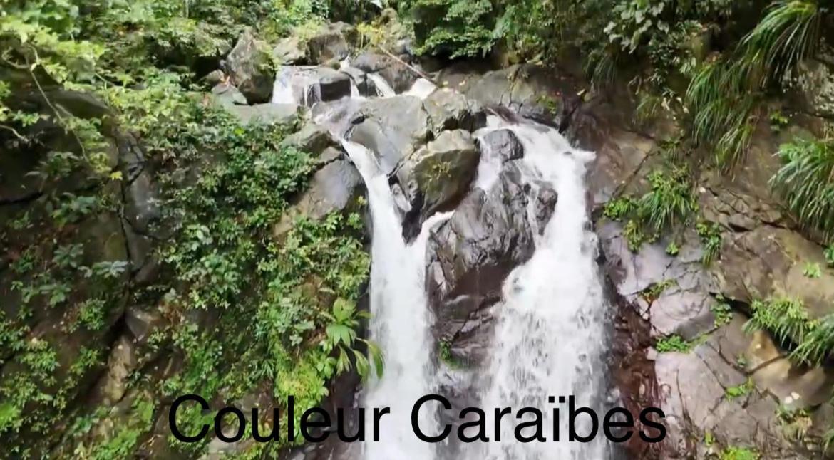 Couleur Caraibes-Cocobeach Martinique Pierre Et Vacances Sainte-Luce Εξωτερικό φωτογραφία