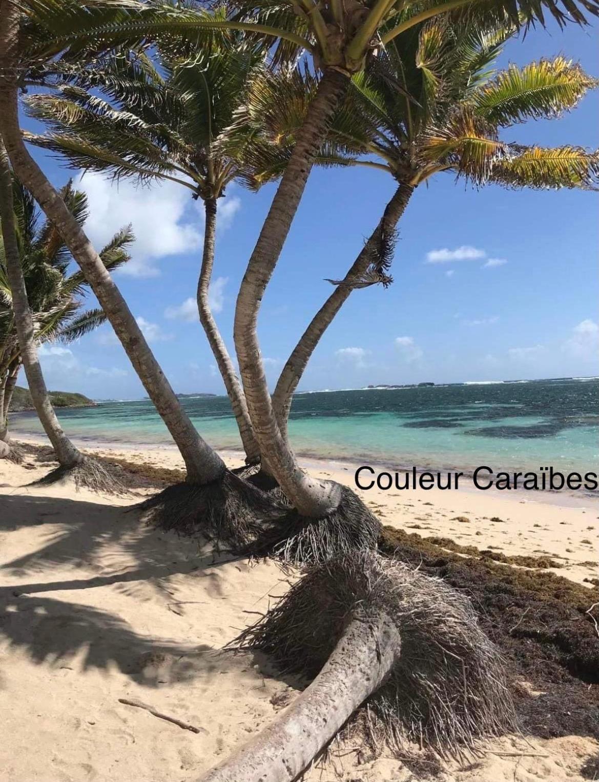 Couleur Caraibes-Cocobeach Martinique Pierre Et Vacances Sainte-Luce Εξωτερικό φωτογραφία